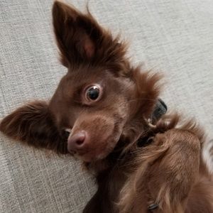 Meet your Posher, Kevin